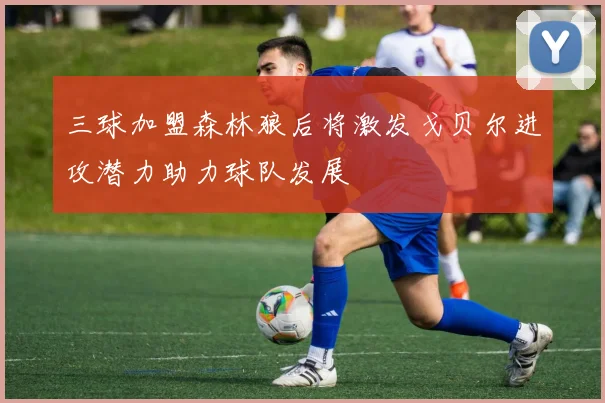 三球加盟森林狼后将激发戈贝尔进攻潜力助力球队发展